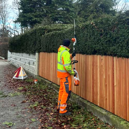 Hecke schneiden mit Teleskop-Hekenschere.