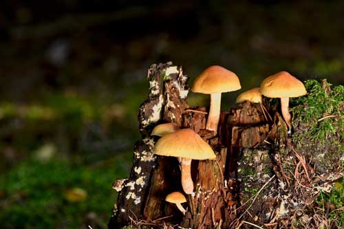 Ratgeber 6 Ratgeber 3