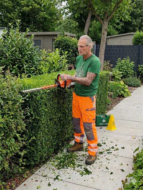 Auf dem Bild ist zu sehen wie man eine Hecke richtig schneidet.